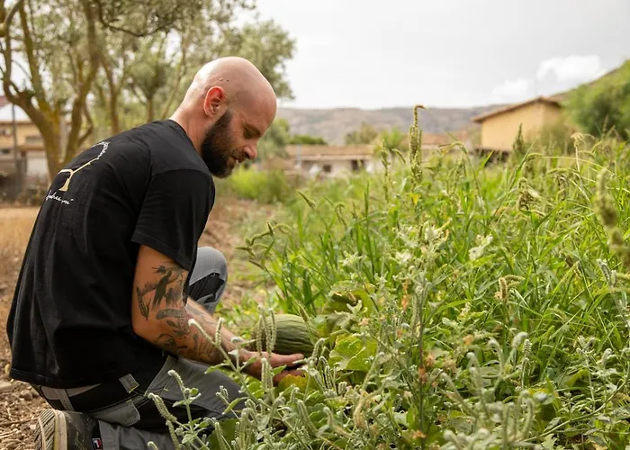 Farmház Casa Marmida Pardu Atzei