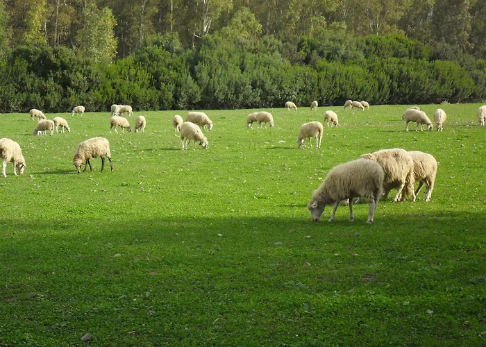 Bauernhof Casa Marmida
